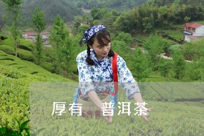 厚有 普洱茶/2023042717306